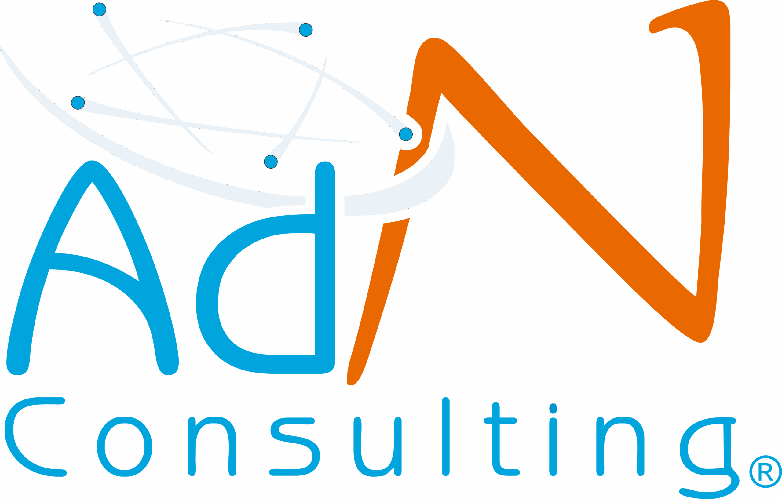 (C) Copyright 2026 Advanced Network Consulting